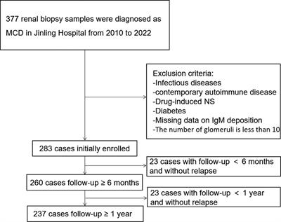 IgM deposition is a risk factor for delayed remission and early relapse of the pediatric minimal change disease